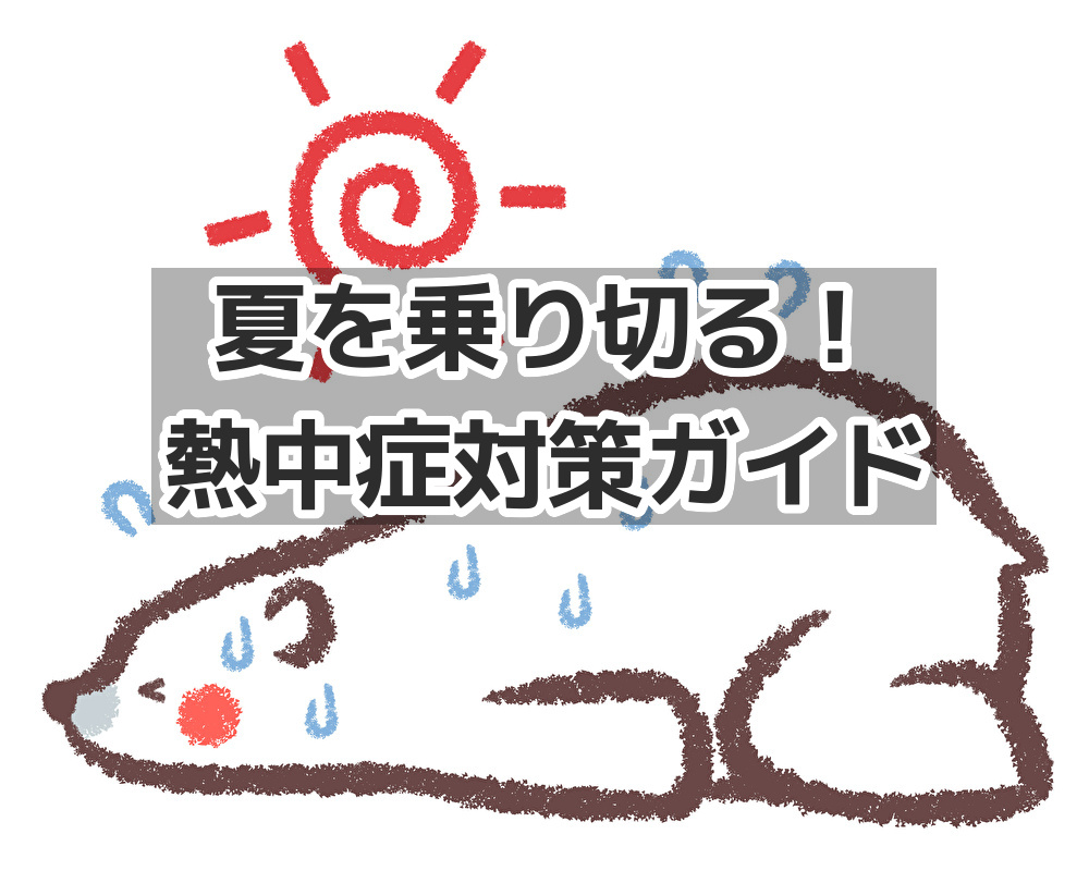夏を乗り切る！熱中症対策ガイド