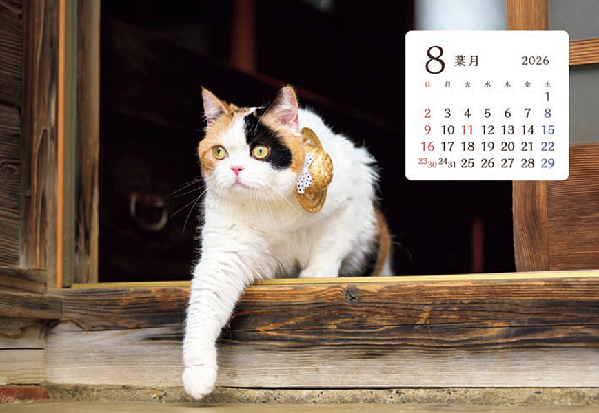 SB-354 猫さんぽ［ワイド］表面2026年　名入れカレンダーペットのカレンダー屋さん