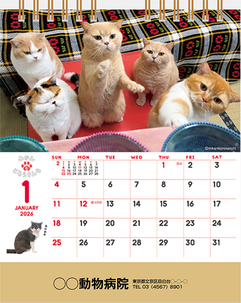 NK-527卓上カレンダーねこと生活2026年ペットのカレンダー屋さん