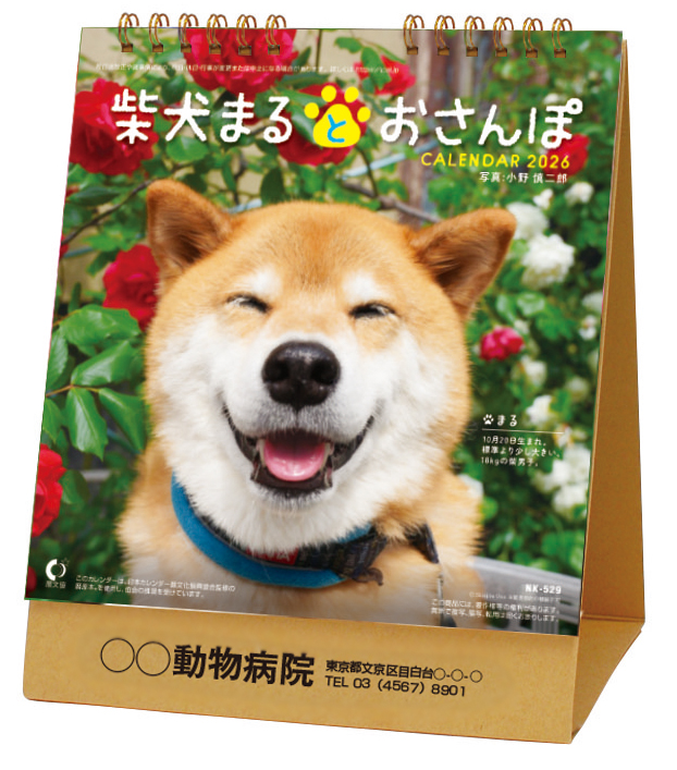 K-529　卓上カレンダー　柴犬まるとおさんぽ　2026年　ペットのカレンダー屋さん