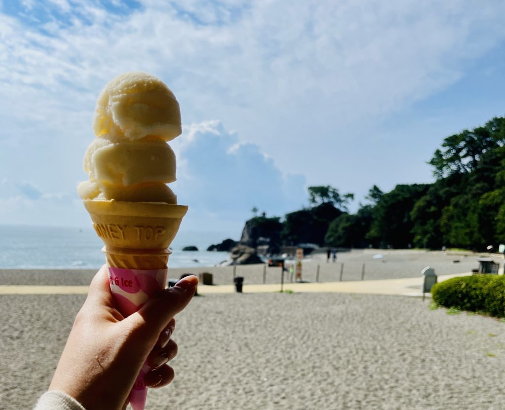 桂浜のアイスクリン