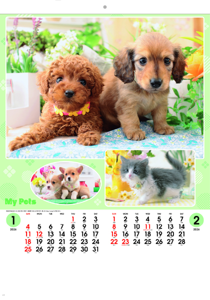 SB-126 マイペット（２か月）2026年　ペットのカレンダー屋さん1-2月